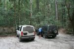 Fraser Island - Allom Lake Rain Forest.jpg