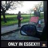 Essex.jpg
